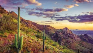 Scottsdale Insurance Agent