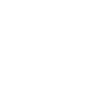 Independent Insurance Agent