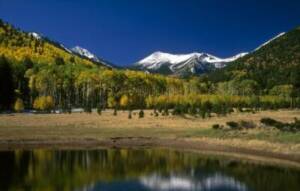 Flagstaff, Arizona Insurance